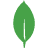 MongoDB